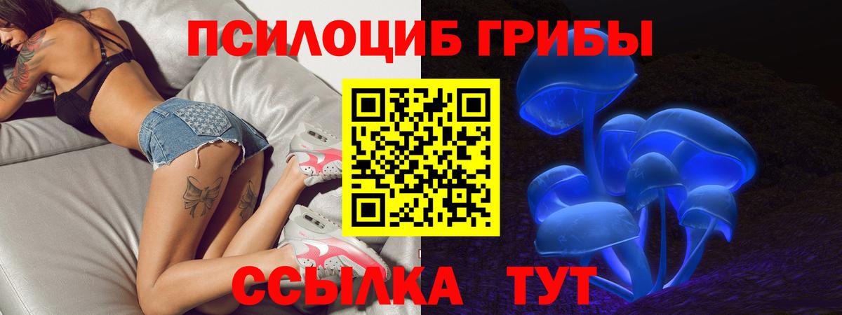 Псилоцибиновые грибы мухоморы  Вход с VPN  дарнет шоп  Гусиноозёрск 
