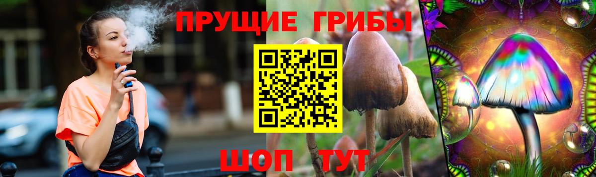Галлюциногенные грибы Cubensis Гусиноозёрск